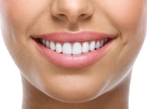 teeth--a